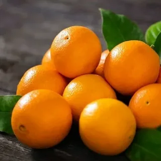 تصویر 2 از خرید و قیمت کنسانتره نارنج جناح + فروش صادراتی